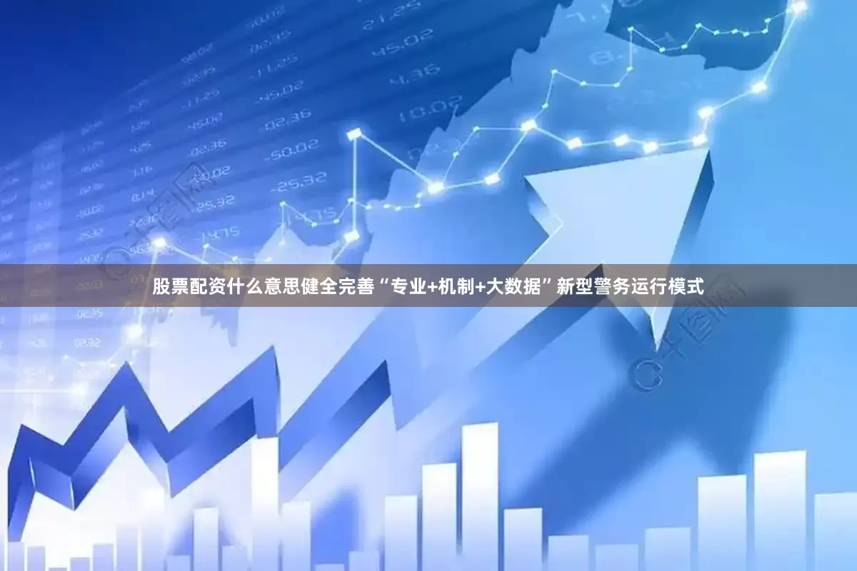 股票配资什么意思健全完善“专业+机制+大数据”新型警务运行模式