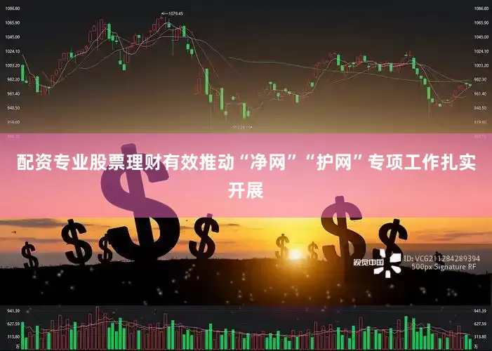 配资专业股票理财有效推动“净网”“护网”专项工作扎实开展