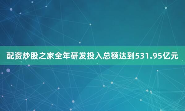 配资炒股之家全年研发投入总额达到531.95亿元