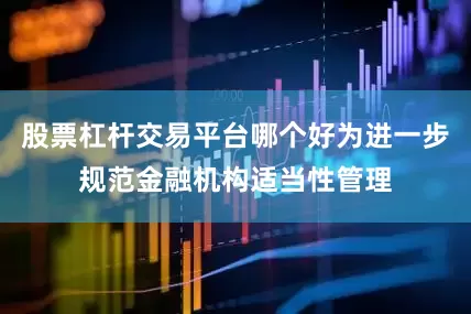 股票杠杆交易平台哪个好为进一步规范金融机构适当性管理