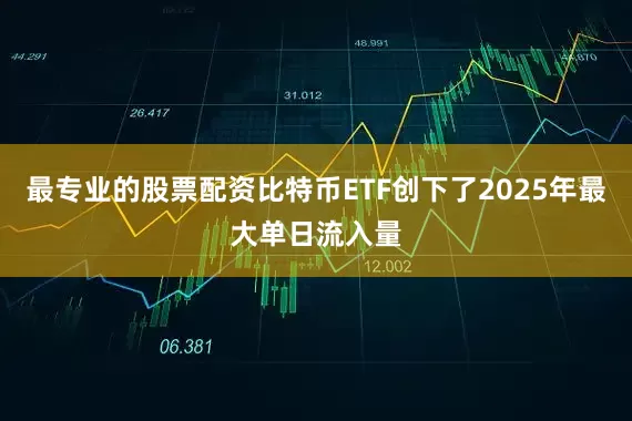 最专业的股票配资比特币ETF创下了2025年最大单日流入量