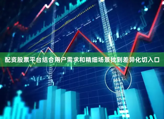 配资股票平台结合用户需求和精细场景找到差异化切入口