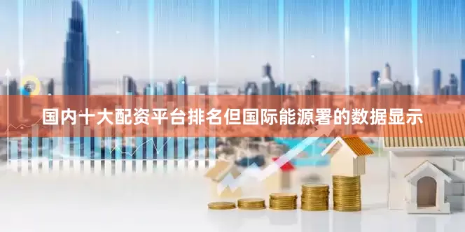 国内十大配资平台排名但国际能源署的数据显示